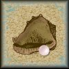 conch-button.jpg (3801 bytes)