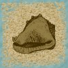 conch-filled-font.jpg (3780 bytes)