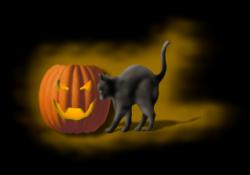 jlantern-cat.jpg (3962 bytes)